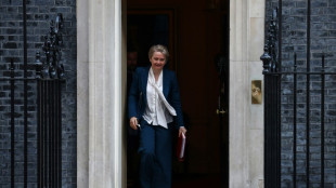 London will verstärkt Straftäter abschieben und weniger Arbeitsvisa vergeben