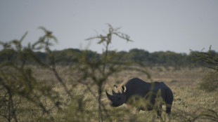 Namibia deploys 500 soldiers to fight Etosha fire