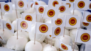 Bufala Dop, 15 eventi in 7 paesi Ue per promuovere l'export