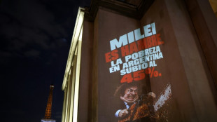 Milei ofrece a Europa una Argentina con "energ&iacute;a abundante" y TotalEnergies anuncia millonaria inversi&oacute;n