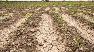 In Ue 156mila chilometri quadrati colpiti dalla siccit&agrave;, come 6 volte la Sicilia