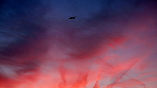 Neubauer: Senkung von Flugsteuer ist "Steuergeschenk an Fluggesellschaften"