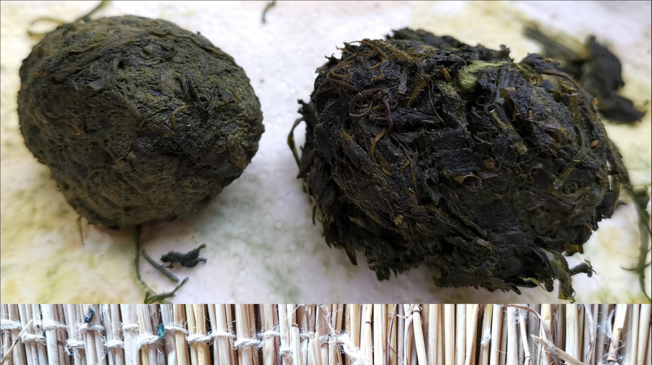 Le prime tracce del blu indaco su macine di 34mila anni fa