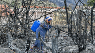 Les incendies meurtriers &eacute;teints en Alg&eacute;rie