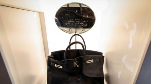 Un sac Birkin ayant appartenu &agrave; Jane Birkin vendu pr&egrave;s de 2,5 millions d'euros &agrave; Abou Dhabi