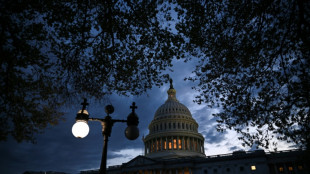 Senat beschließt umstrittenen Haushaltsplan für von Trump gewollte Steuerkürzungen