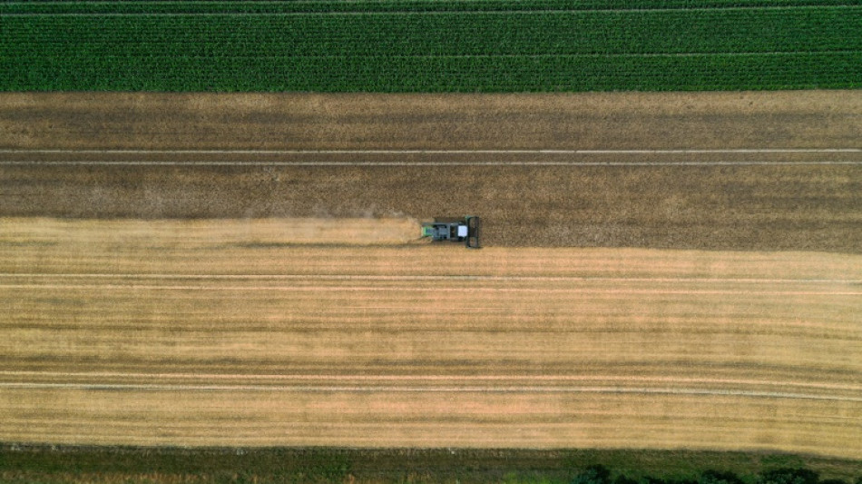 Umweltverb&auml;nde fordern Schutz von Brachfl&auml;chen in der Agrarlandschaft