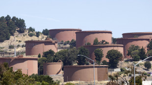 Il prezzo del petrolio apre in rialzo a 57,7 dollari