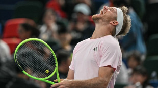 Tennis: Davidovich s'offre &agrave; Shanghai son premier Masters 1000