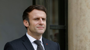 Macron trifft mit Blick auf Mali-Einsatz Präsidenten von Partnerländern