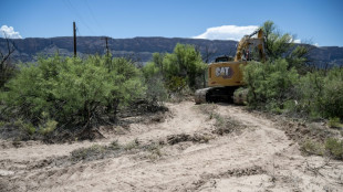 US pauses construction of border project in Texas national park