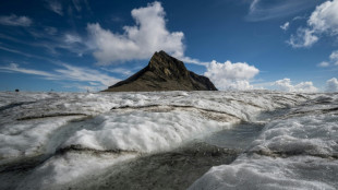 El volumen de los glaciares suizos se redujo a la mitad desde 1931