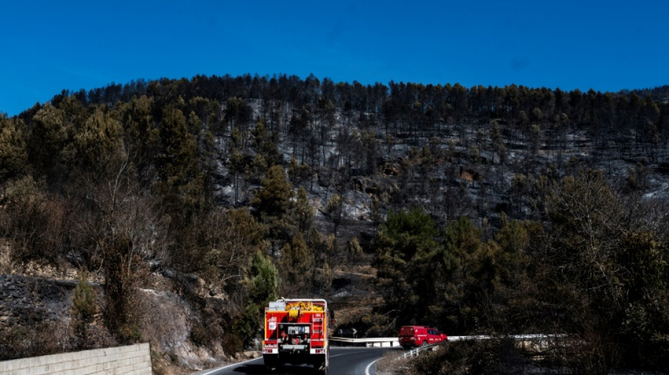 Mehr als hundert Br&auml;nde w&uuml;ten in Nordspanien
